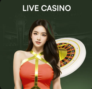 坎特：我不强求主力位置，只想为法国队贡献自己的力量